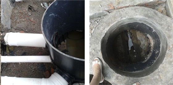 朗詩.天萃 朗詩.天萃