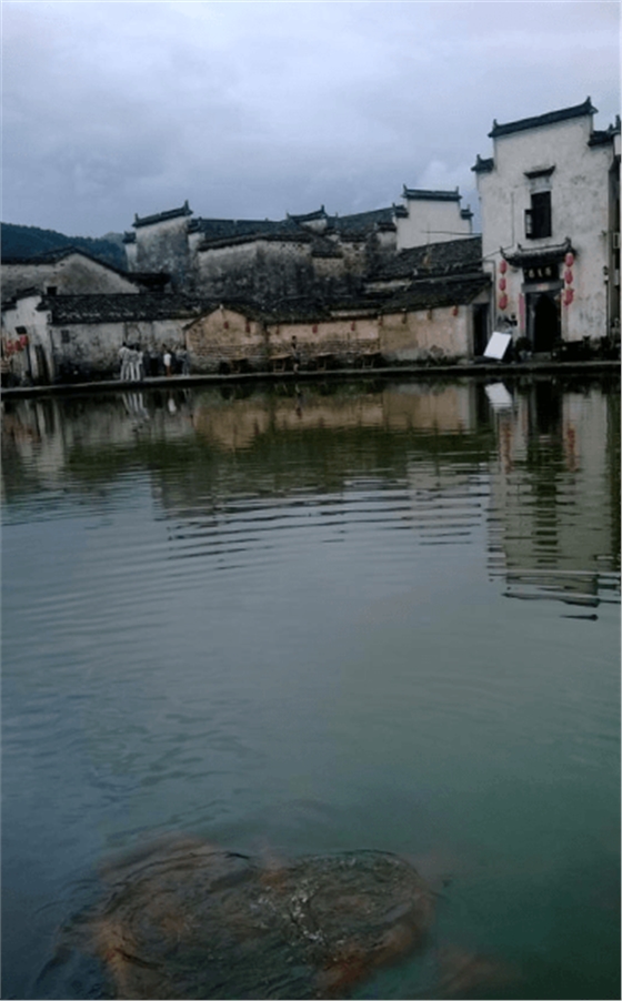 圖片3.png 圖片3.png