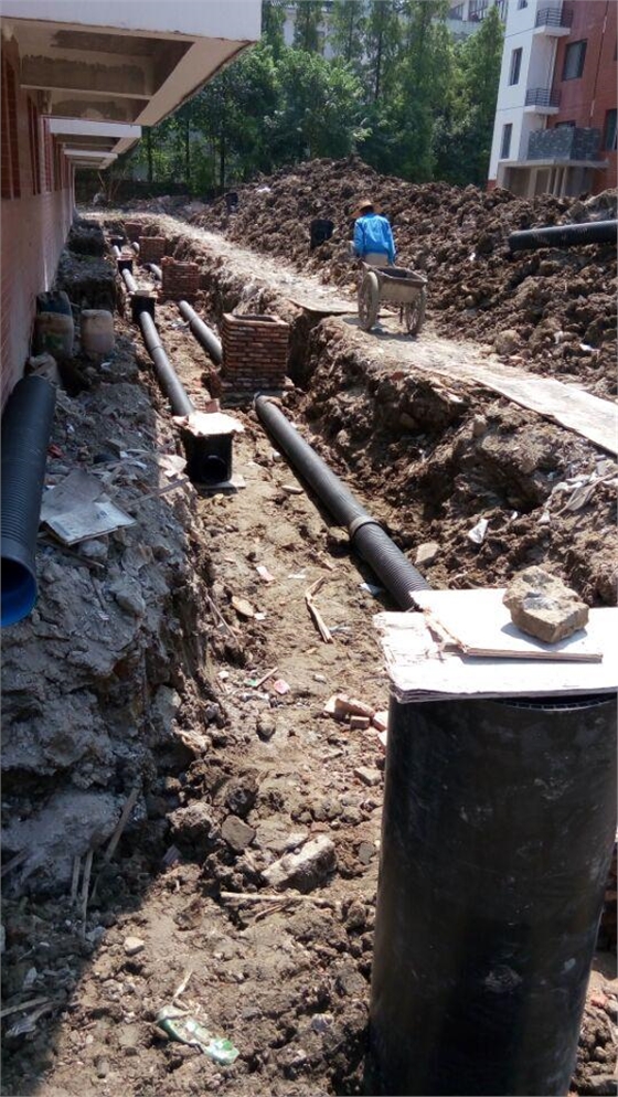 圖片2.jpg 圖片2.jpg