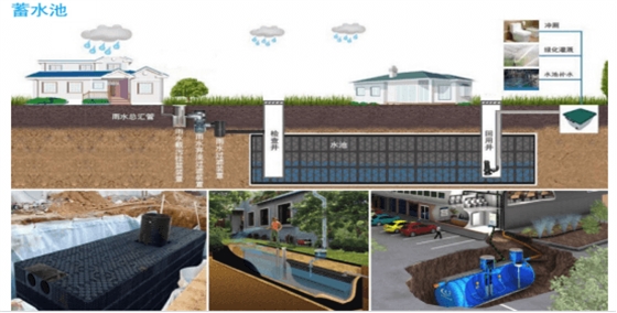 生態(tài)綠化-正林的未來 生態(tài)綠化-正林的未來