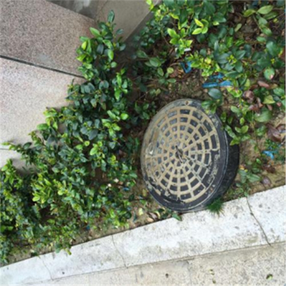 井蓋的安裝---依道豐塑料檢查井施工6 井蓋的安裝---依道豐塑料檢查井施工6