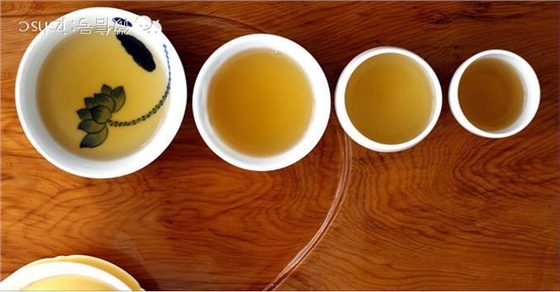 從塑料窨井中窺探企業(yè)生存之道 從塑料窨井中窺探企業(yè)生存之道