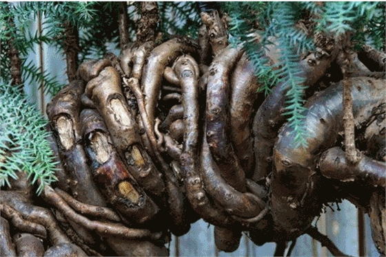 塑料檢查井+同心=其利斷金 塑料檢查井+同心=其利斷金