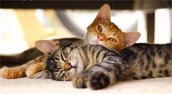 習(xí)慣成自然---塑料檢查井堅(jiān)守記 習(xí)慣成自然---塑料檢查井堅(jiān)守記