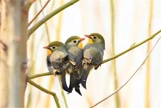 微信圖片_20190228095504.jpg 微信圖片_20190228095504.jpg