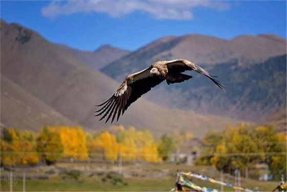 微信圖片_20190228095520.jpg 微信圖片_20190228095520.jpg