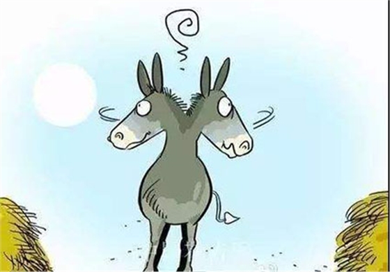 驢合作.jpg 驢合作.jpg