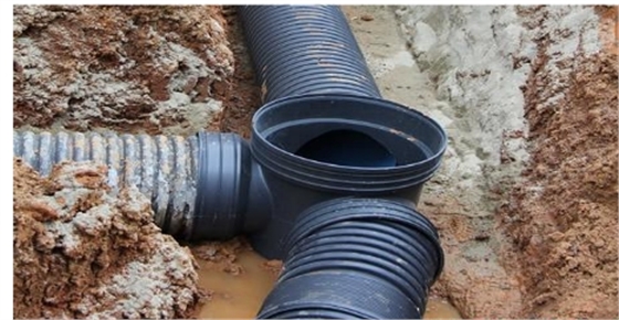 2019723.jpg 2019723.jpg