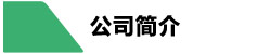 公司簡(jiǎn)介 公司簡(jiǎn)介