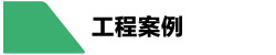 工程案例 工程案例