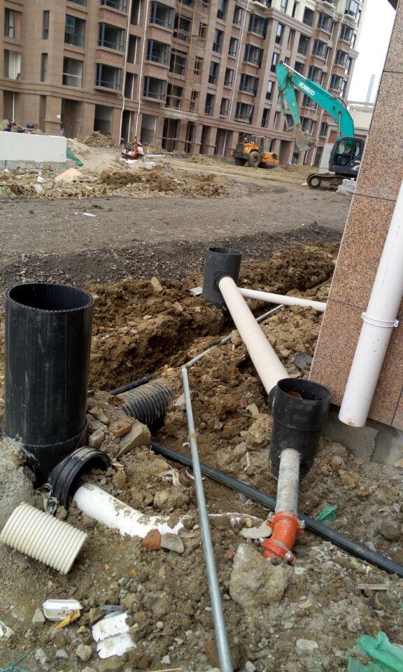 圖片1.jpg 圖片1.jpg