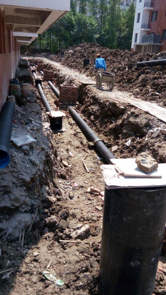 圖片2.jpg 圖片2.jpg