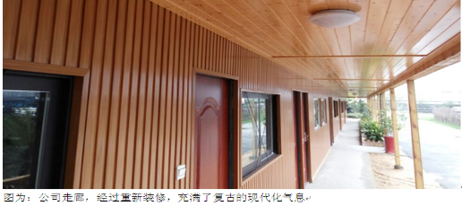 辦公室走廊 辦公室走廊