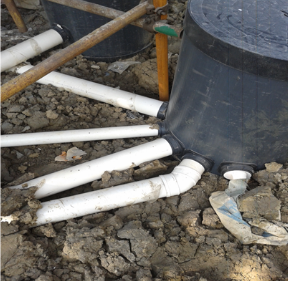 南京武夷綠洲 南京武夷綠洲