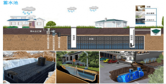 生態(tài)綠化-正林的未來 生態(tài)綠化-正林的未來