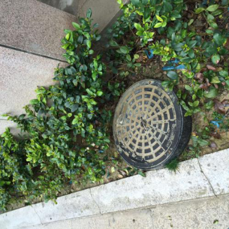 井蓋的安裝---依道豐塑料檢查井施工6 井蓋的安裝---依道豐塑料檢查井施工6