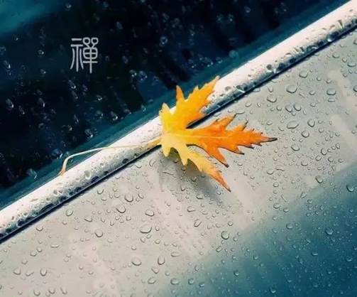 大道至簡(jiǎn).知易行難--在成品塑料井的道路上匍匐前進(jìn) 大道至簡(jiǎn).知易行難--在成品塑料井的道路上匍匐前進(jìn)