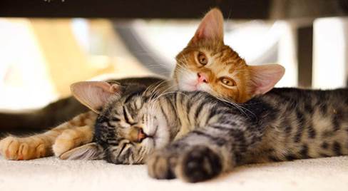 習(xí)慣成自然---塑料檢查井堅(jiān)守記 習(xí)慣成自然---塑料檢查井堅(jiān)守記