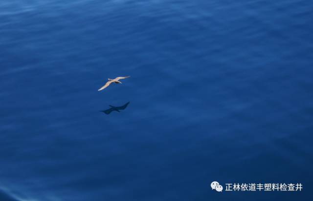 640 (3).jpg 640 (3).jpg