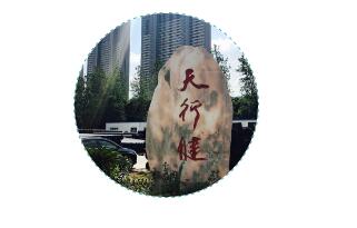 塑料檢查井現(xiàn)場施工指導——回填！