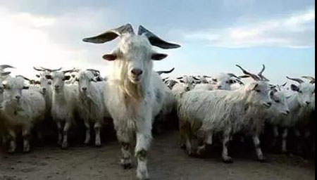 微信圖片_20180930104542.jpg 微信圖片_20180930104542.jpg