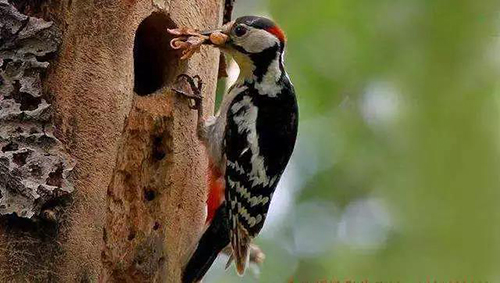 微信圖片_20190307093744.jpg 微信圖片_20190307093744.jpg