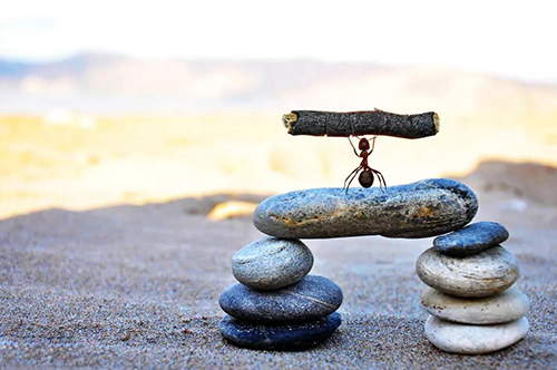 微信圖片_20190321094822.jpg 微信圖片_20190321094822.jpg