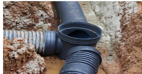 2019723.jpg 2019723.jpg