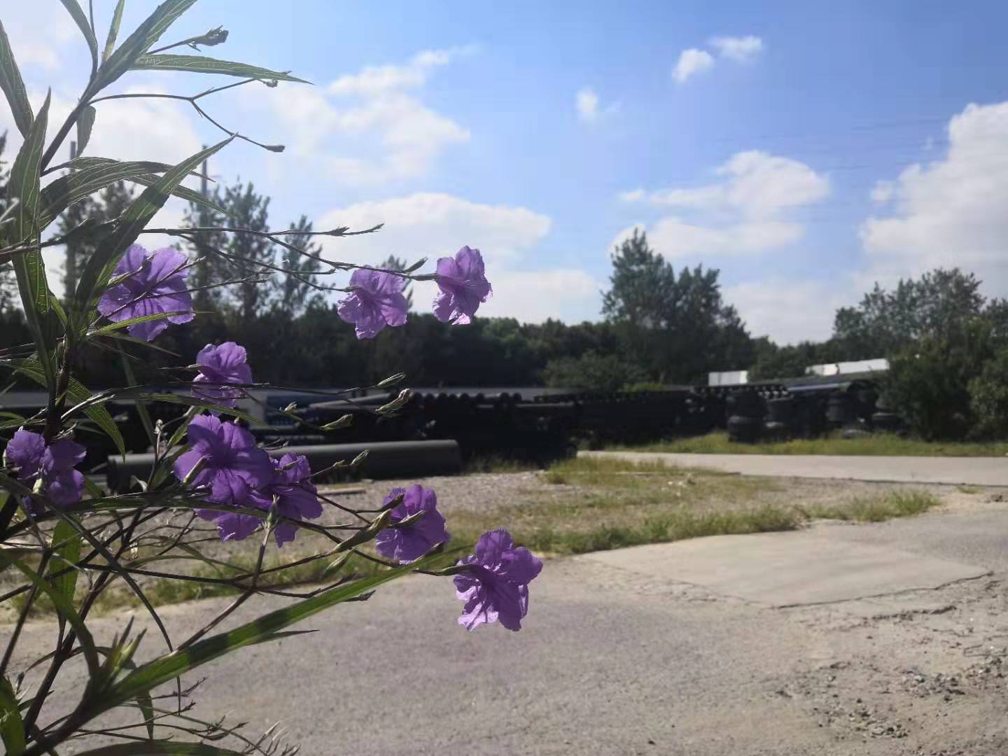 0d783509e98b6bbd66207c141536816.jpg 0d783509e98b6bbd66207c141536816.jpg