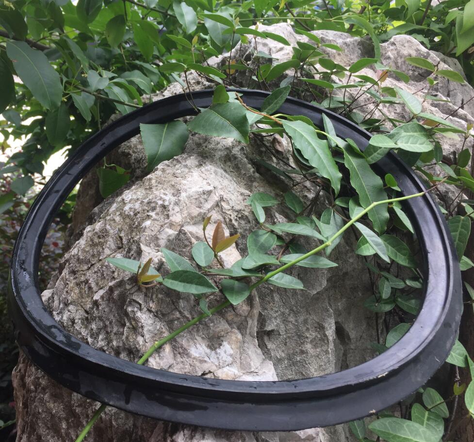 膠圈1.jpg 膠圈1.jpg