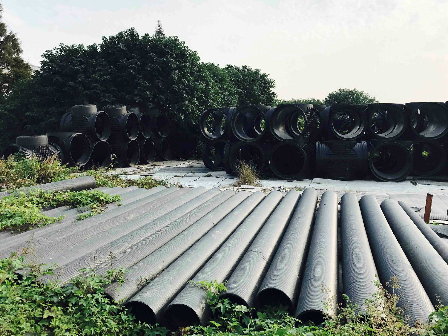 IMG_0190.jpg IMG_0190.jpg